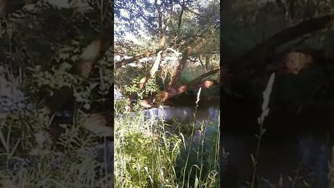 【各位老鐵不喜勿入可繞過】流水潺潺