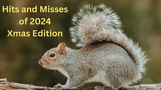 Hits and Misses of 2024