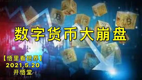 KWT1739数字货币大崩盘20210520-1【悟里看世界】
