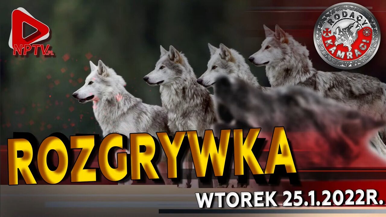 ROZGRYWKA - Olszański, Osadowski NPTV (25.01.2022)