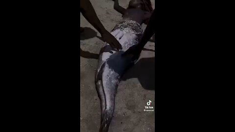 They do Exist!!!….