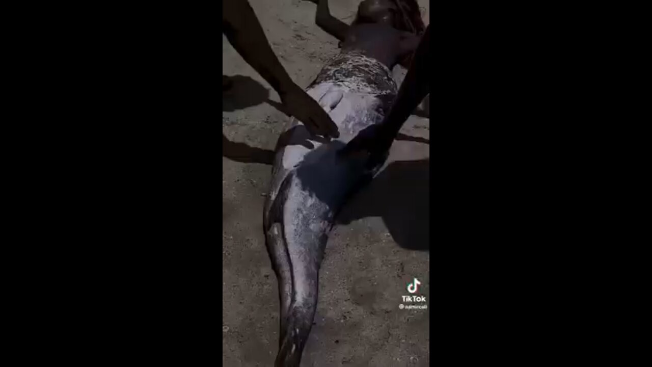 They do Exist!!!….