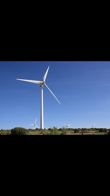 Windturbines zijn een groot gevaar voor de vogels en ons milieu!
