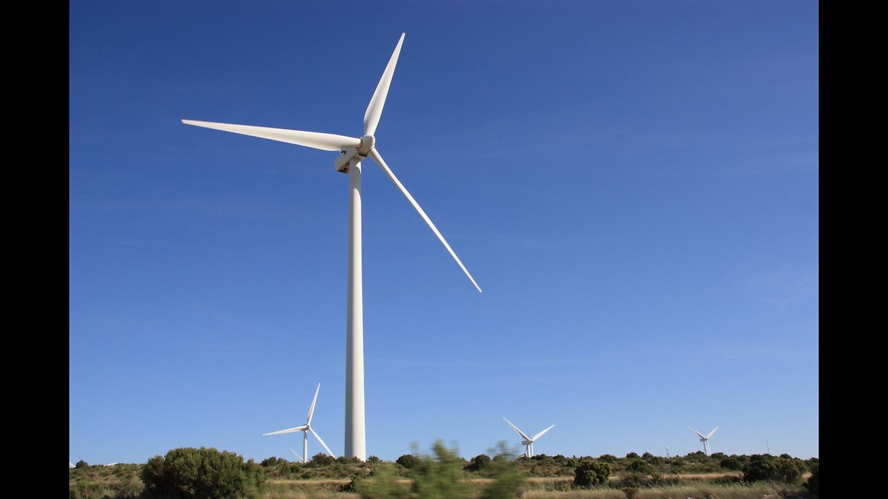 Windturbines zijn een groot gevaar voor de vogels en ons milieu!