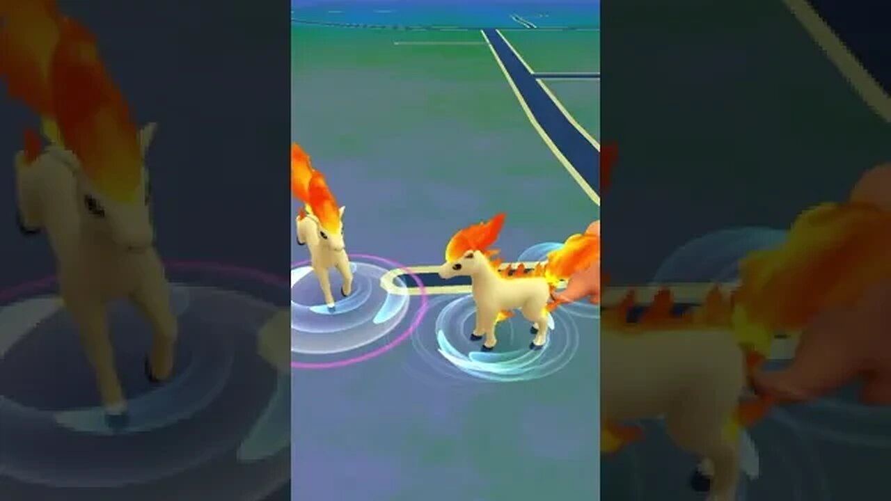 Adamant event gameplay #pokemon #ditto #shinyhunting