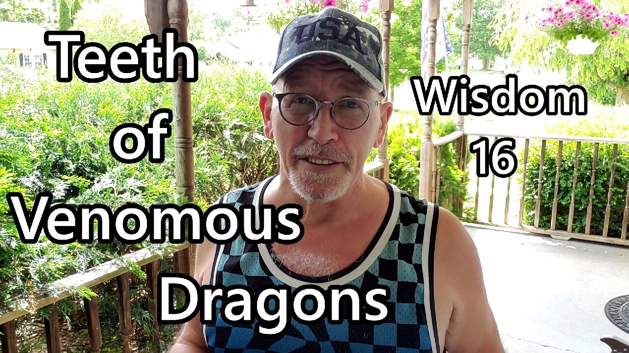 Teeth of Venomous Dragons: Wisdom 16