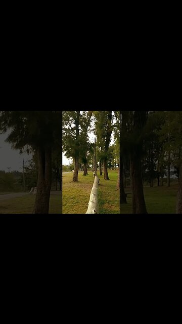 Laguna de las Lavanderas. #tacuarembó #uruguay (22/04/2023)