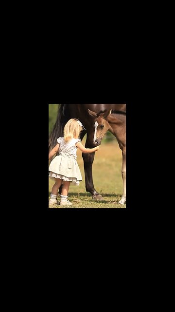 Little girl makes friends with foal