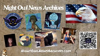 Night Owl News Archives 'Fun Friday Free For All' - 11/15/2024