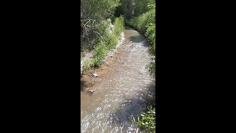 Sunny Stream