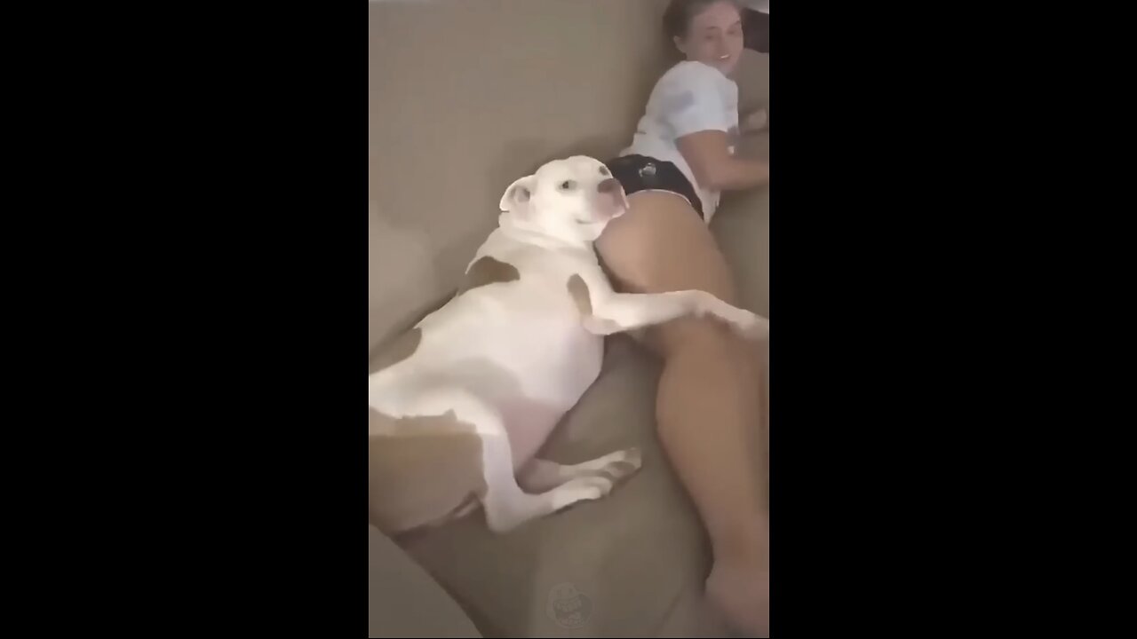 IF YOU LAUGH 😂 YOU RESTART!!!!! PART 2