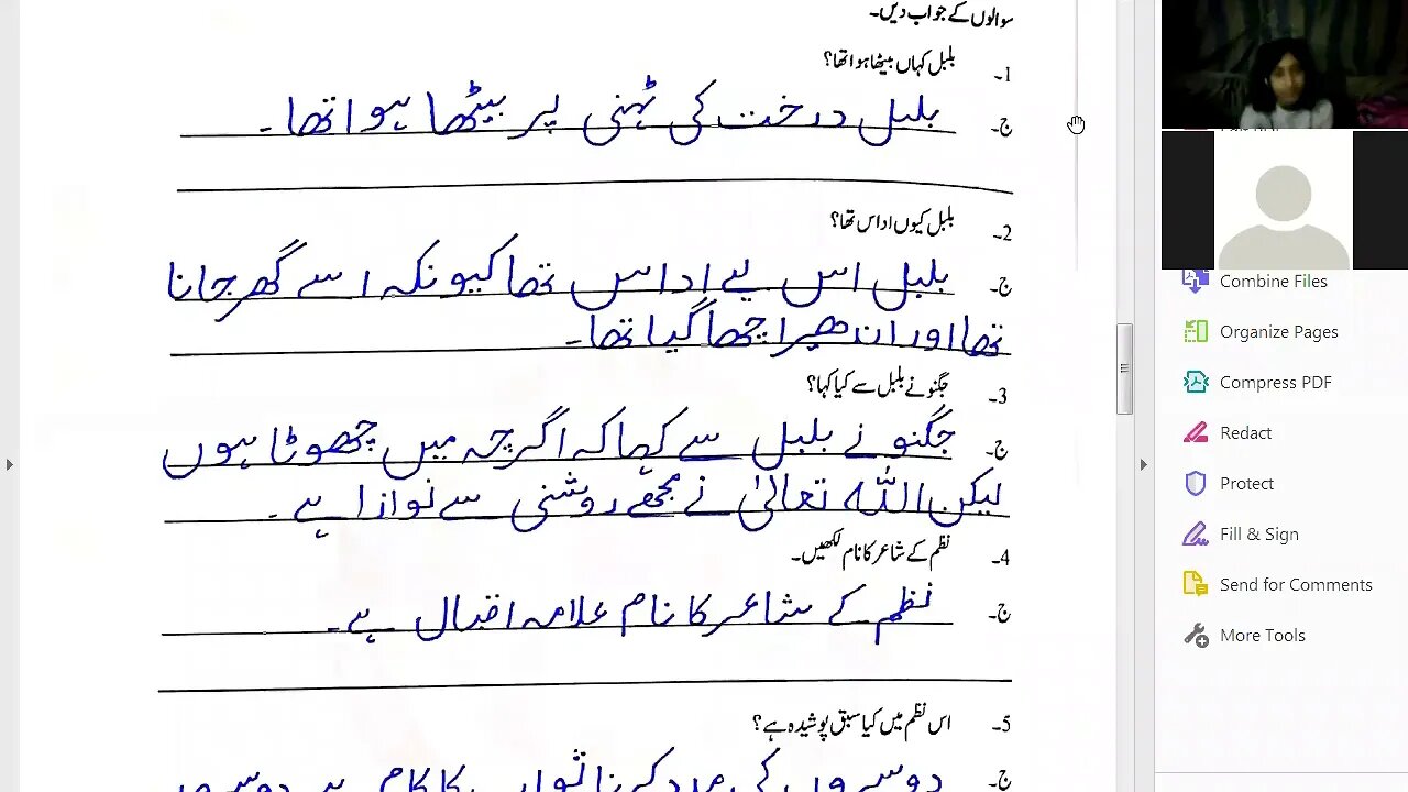 Zoom Online Urdu A Class V 7 12 2020