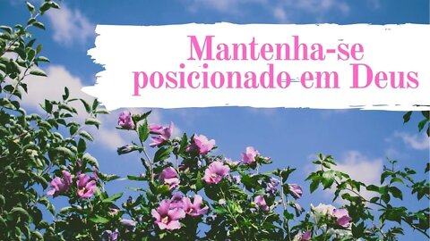 Mantenha-se posicionado em Deus - Palavra de Deus Hoje