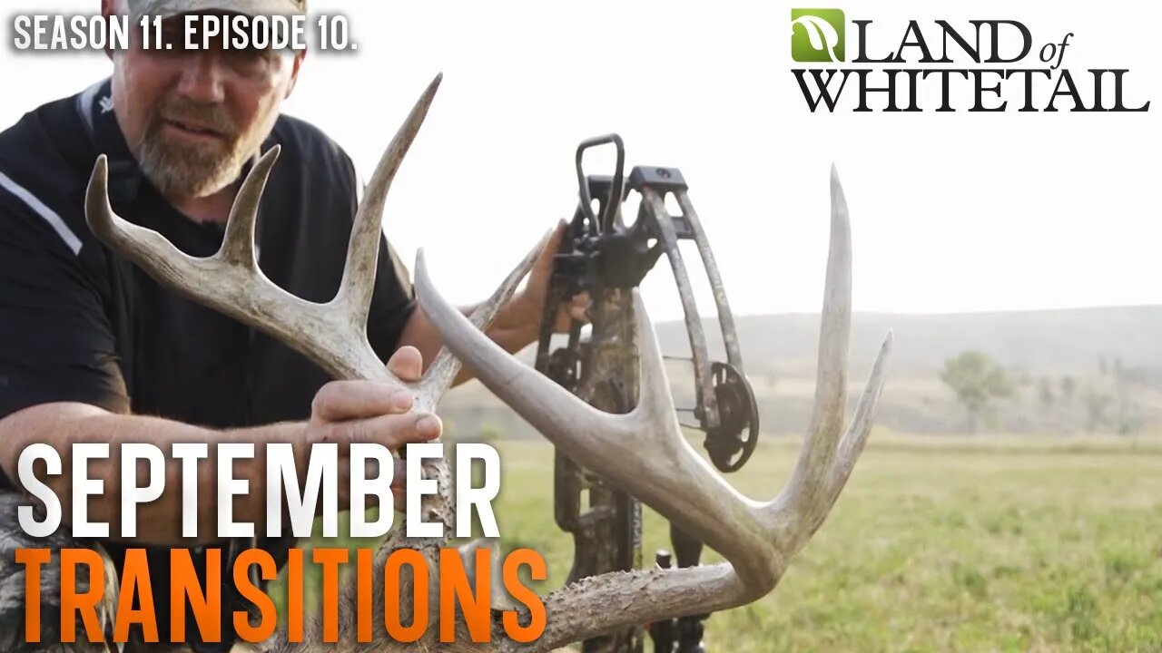 Find September Food Sources | Land of Whitetail