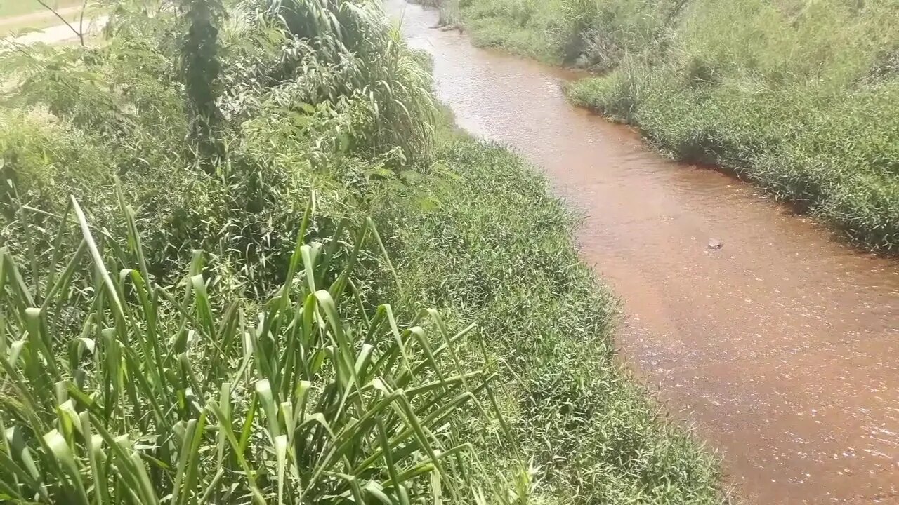 Diálogos #4 Explicando as dimensões; A vida na 5D