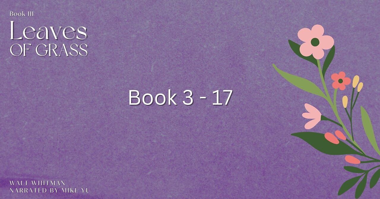 Leaves of Grass - Book 3.17 - Walt Whitman