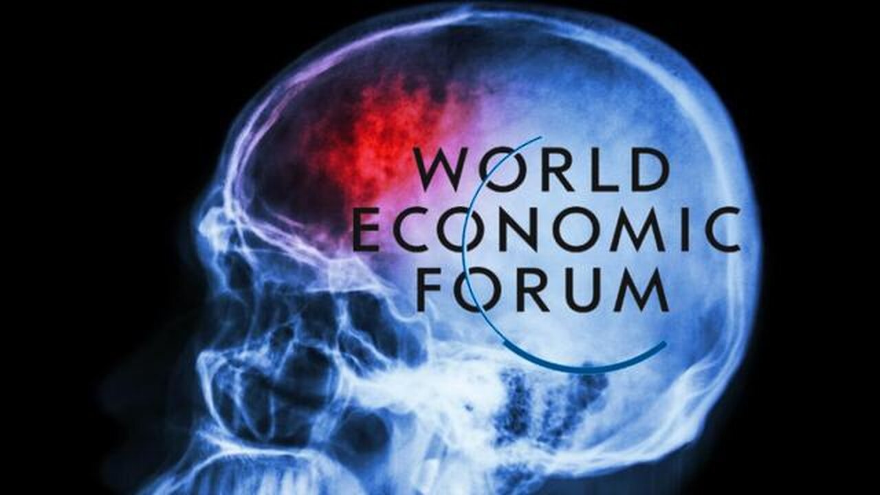 WEF Psycho Talking About Implanting Fake Memories to Mind Control Them - KILLUMINATI13420