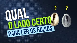 Qual o LADO certo para LER os BÚZIOS