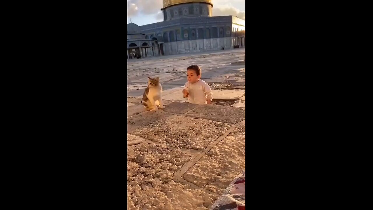 animal love