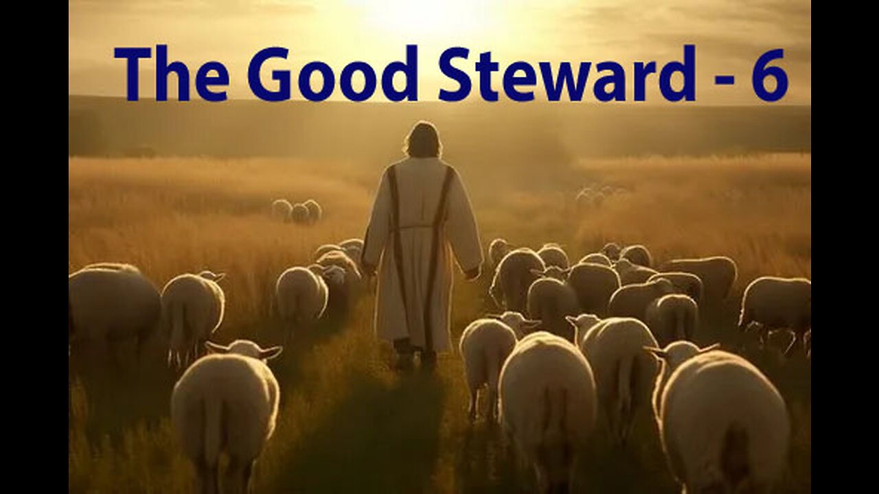 The Good Steward - 6