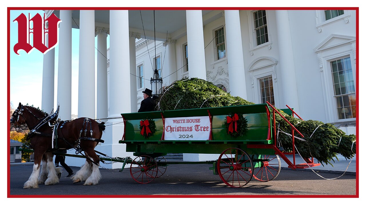 ‘A Season of Peace and Light’, Christmas at the White House