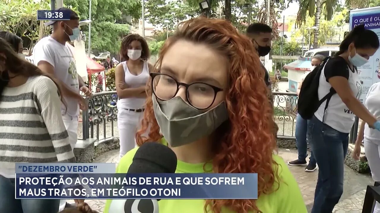 "Dezembro verde": Proteção aos animais de rua ou os que sofrem maus tratos, em Teófilo Otoni