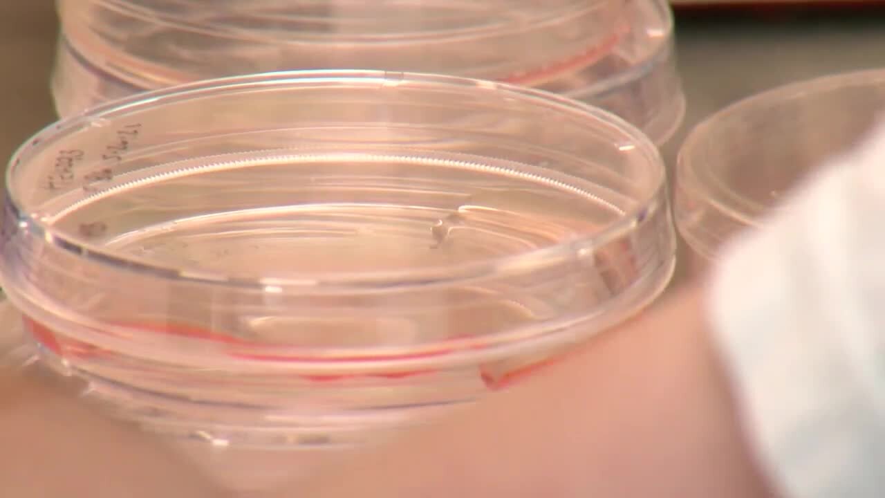 Las Vegas scientists find high levels of COVID-19 in recent samples of wastewater