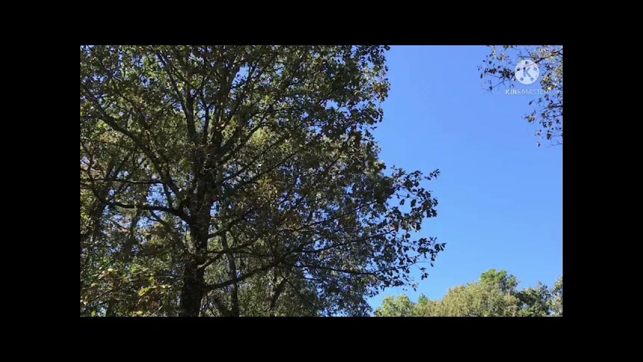 This Land