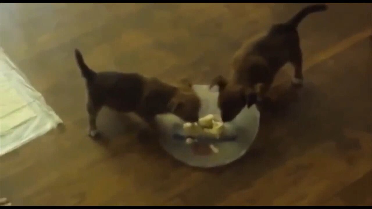 The Twins First Day Home