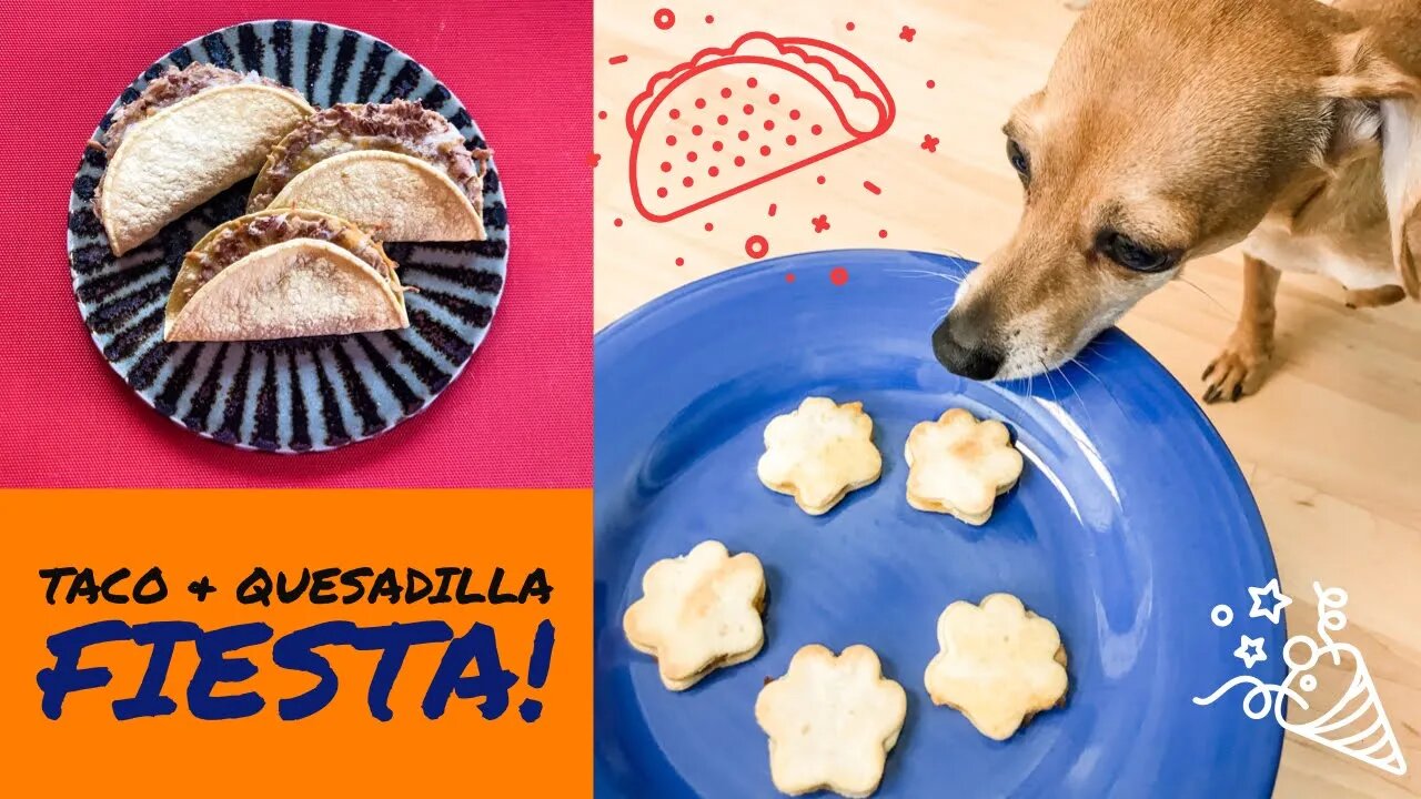 Homemade Tasty Taco & Quesadilla Dog Treats