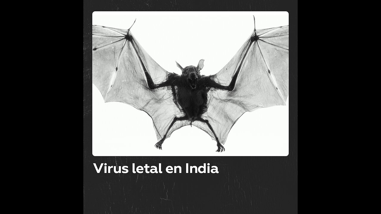 Reaparece el virus Nipah en la India