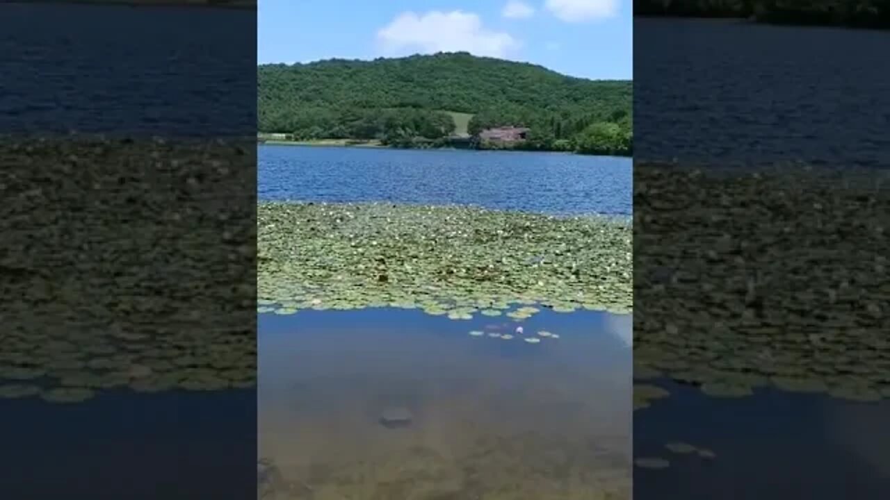 久しぶりに大阪行ってきた、ガチでキレイだなー
