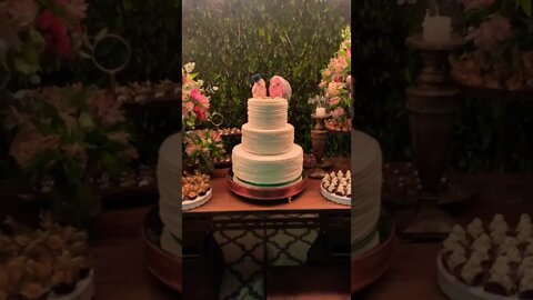 #festadecasamento #casamento #vidademúsico #bastidores #musico #show #musico #noiva #noivos #fyp