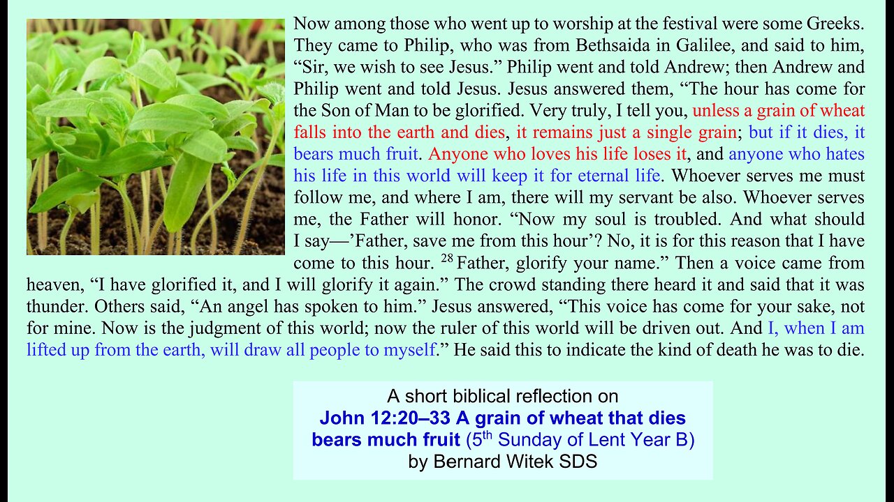 John 12:20–33 A grain of wheat that dies bears much fruit