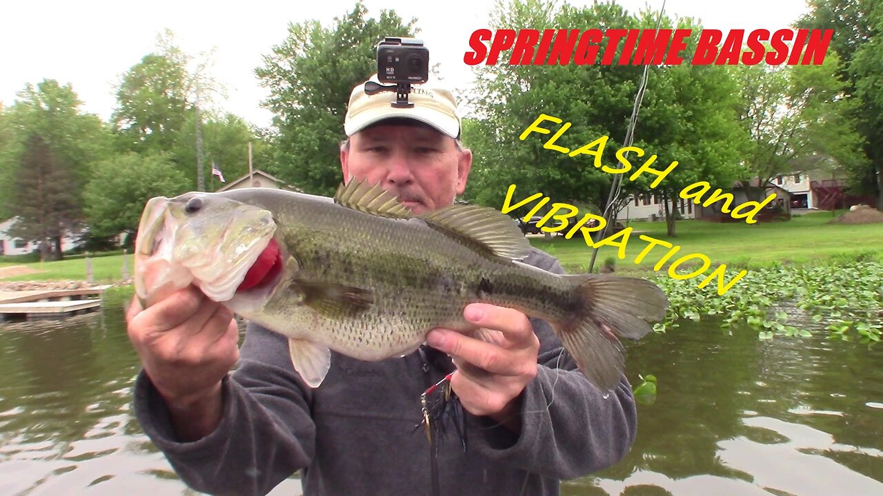 SPRINGTIME BASSIN NORTHWEST OHIO