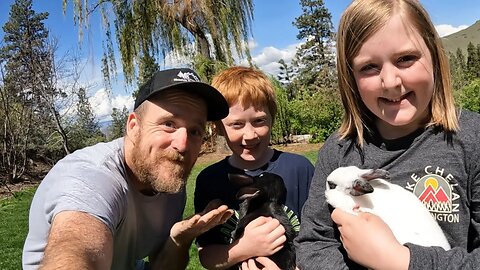 We Put 6 Rabbits on Grass For The First Time