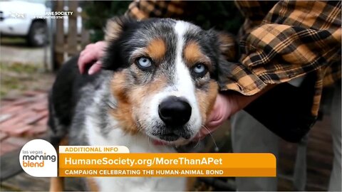 Humane Society of the United States Addresses Pet Poverty Crisis