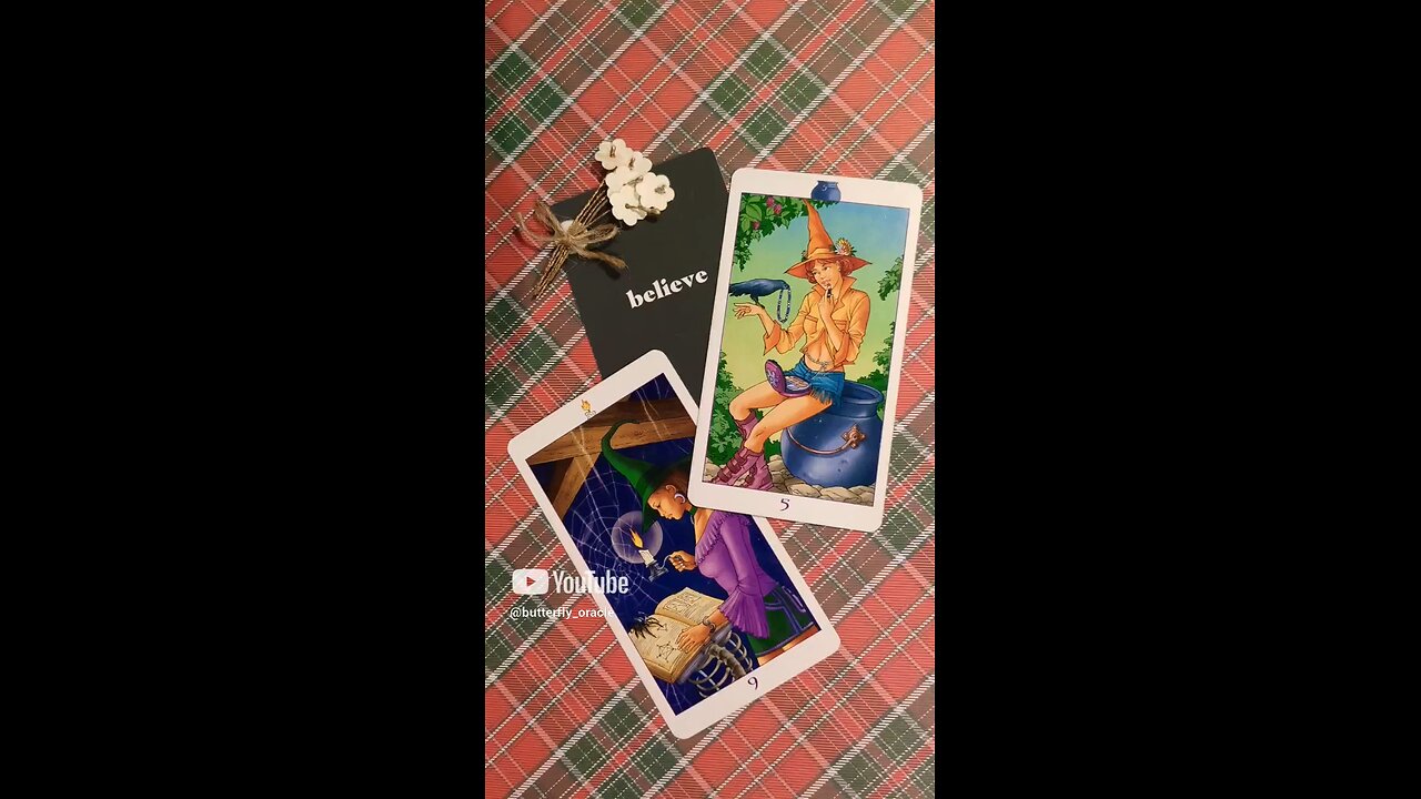 Believe in yourself and wonderful things will happen! Butterfly Insightful Daily Tarot