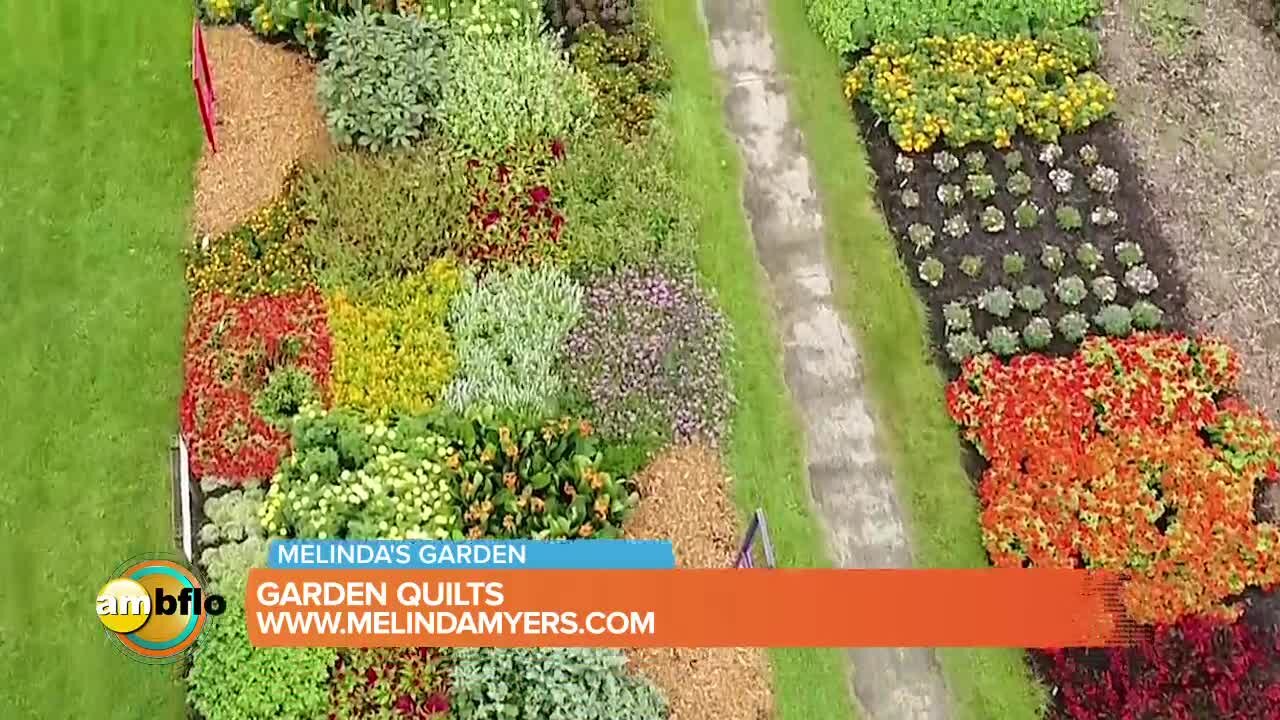 Melinda’s Garden Moment - Design a quilt garden filled with AAS winning plants