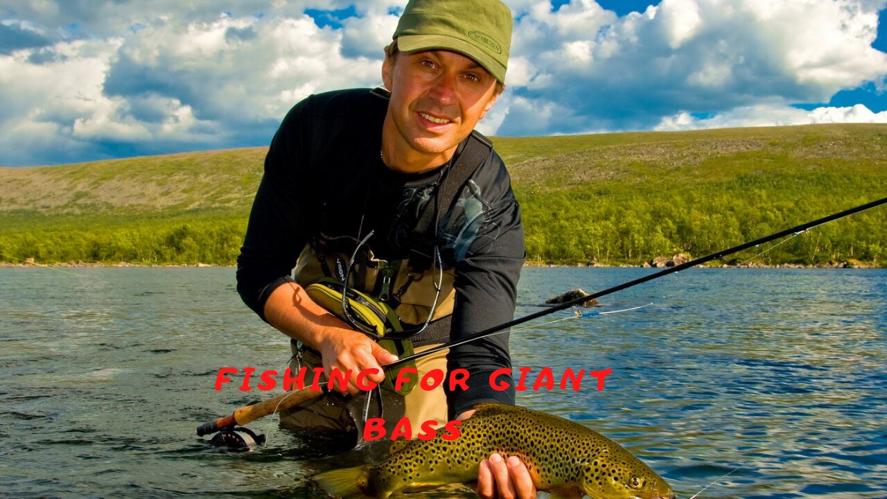 Fishing for giant bass