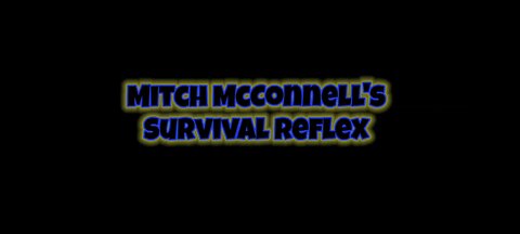 Mitch In The Matrix