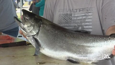 The Kewaunee/Door Salmon Tournament is back for its 41st year