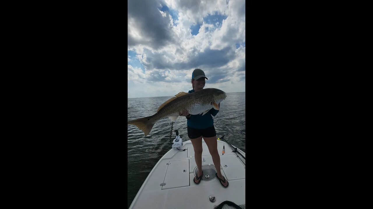 Giant Redfish Action! #shorts #saltlife #fishing #louisiana #seatowneworleans #marshdemonlures