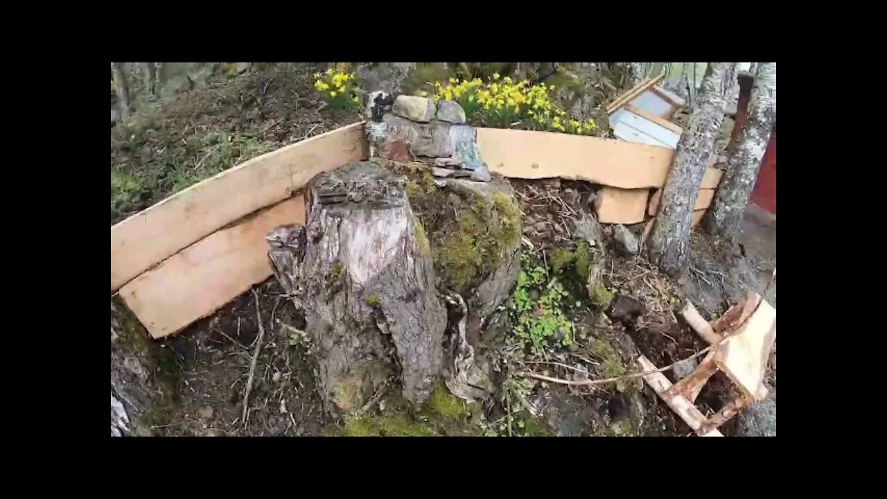 Building Power platform #aurland