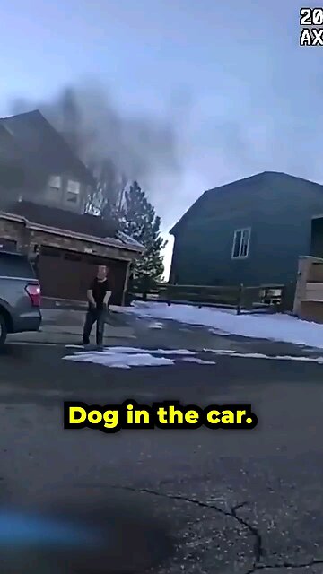 Heroes rescue trapped dog in burning car.