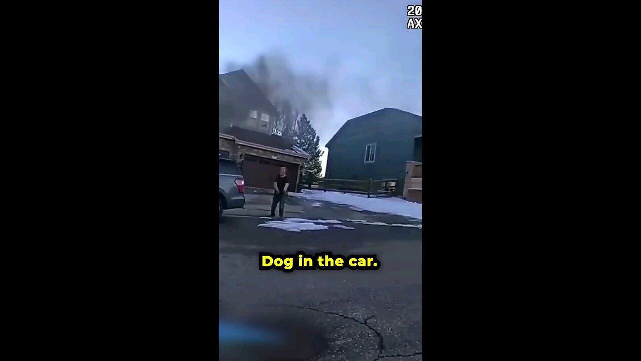 Heroes rescue trapped dog in burning car.