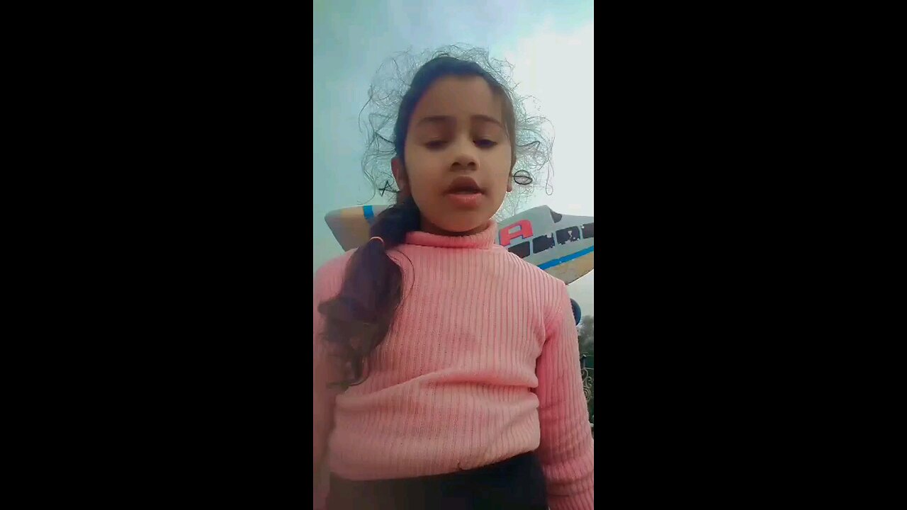 funny videos