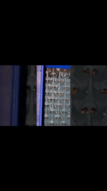 Au-some GOLD cleanup #goldprospecting #findinggold