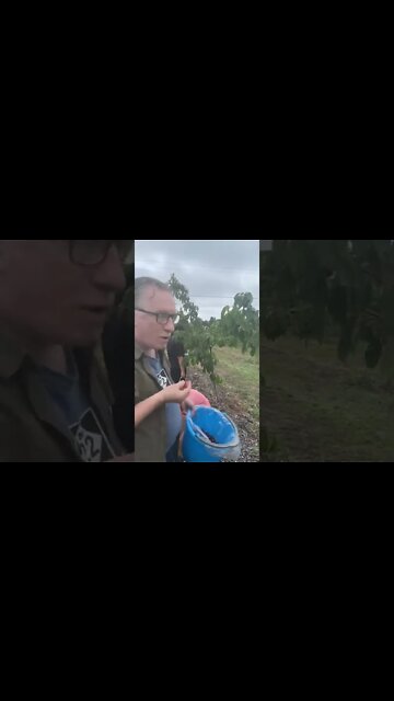 Cryptodad & Family Picking Cherries in Northern Michigan on the Mission Peninsula.