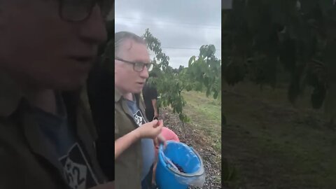 Cryptodad & Family Picking Cherries in Northern Michigan on the Mission Peninsula.